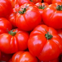 h280628_トマト寒天て？01_tomatoes-5356_1280
