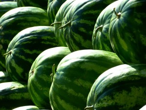 ｈ280622_スイカばら01melons-197025_1280